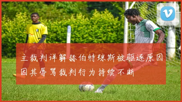 主裁判详解赫伯特琼斯被驱逐原因因其辱骂裁判行为持续不断